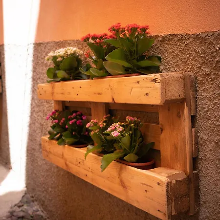 Casa Mirto-3